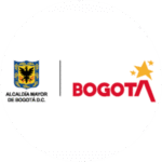 Bogt